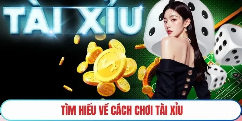 Tìm hiểu về cách chơi tài xỉu